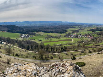 25-03-21 12-14-33 2479